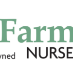 Zoysia Farm Nurseries