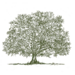 Carroll Tree Service