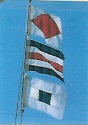 Flying Colors of Success, Inc.